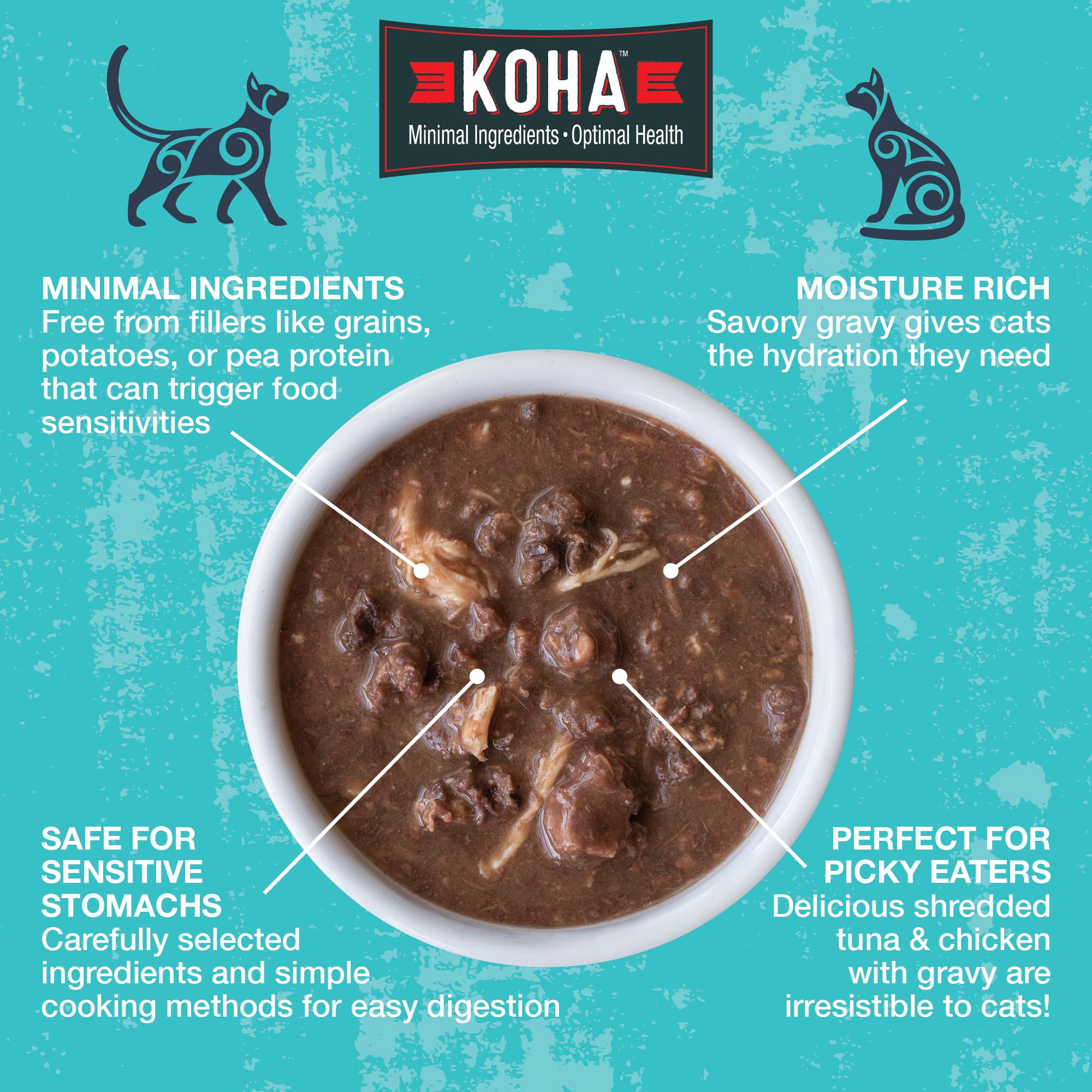 KOHA gros plan sur la texture en morceaux montrant sauce appétente et humidité