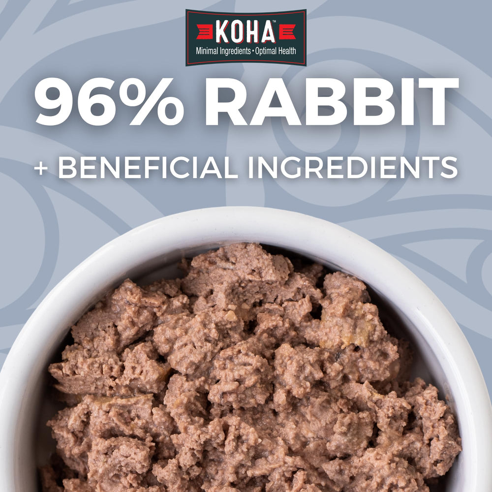KOHA gros plan pâté humide montrant texture facile à digérer