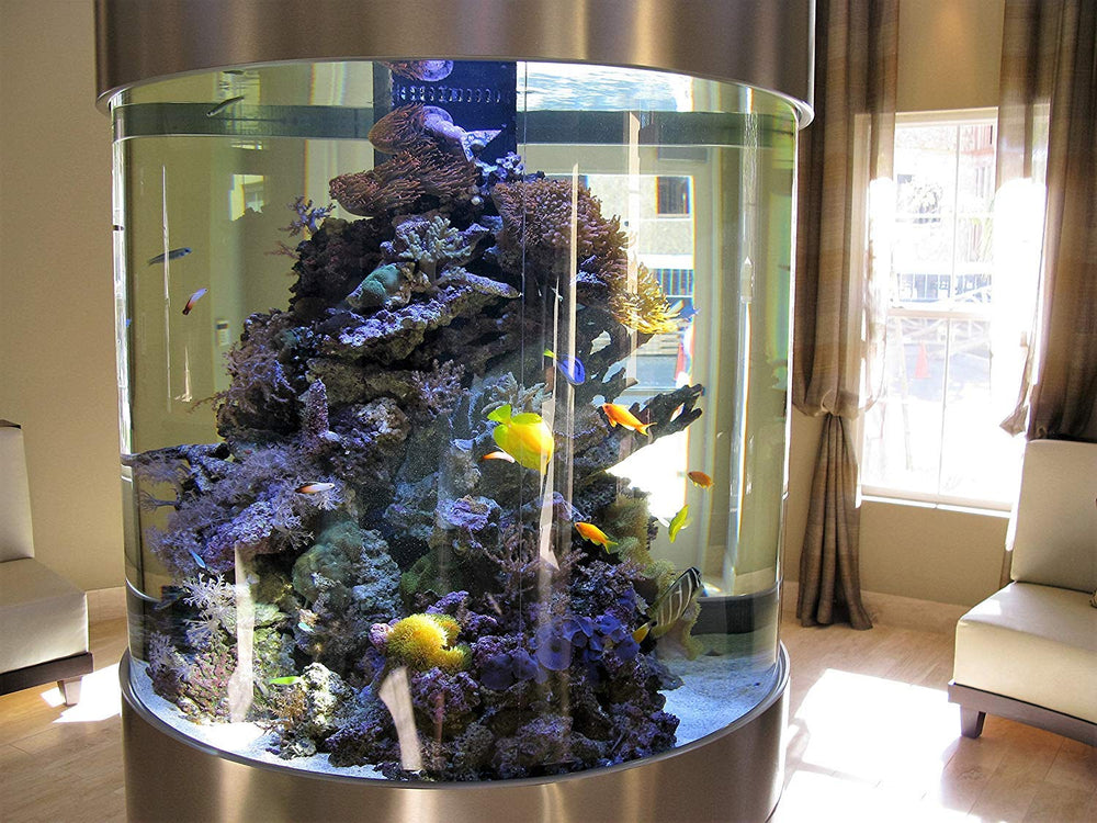 Kolar Labs aquarium avant-après, eau clarifiée et réduction des odeurs