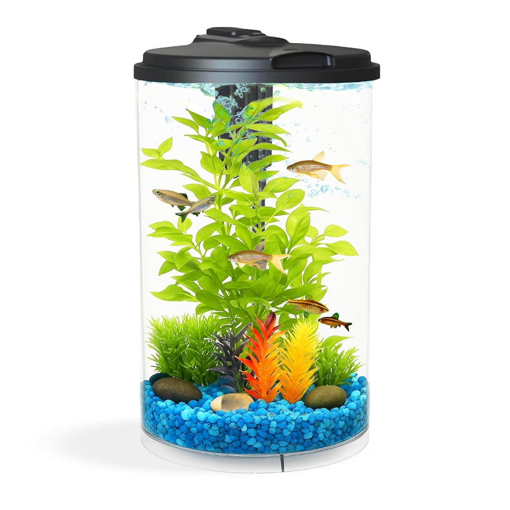 Koller Products vue avant de l’aquarium 360° bénéfice esthétique compact