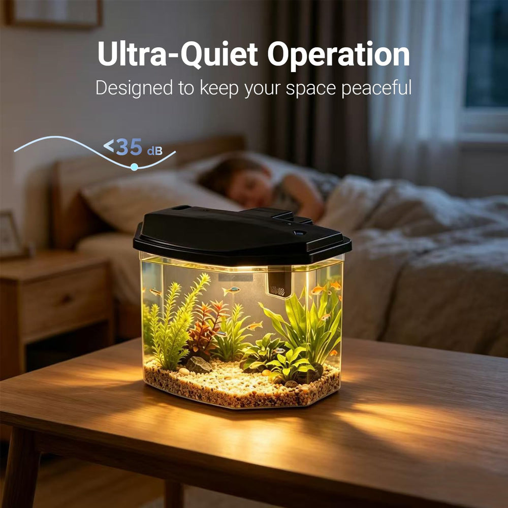 Koller Products aquarium posé sur bureau offrant calme et décor apaisant