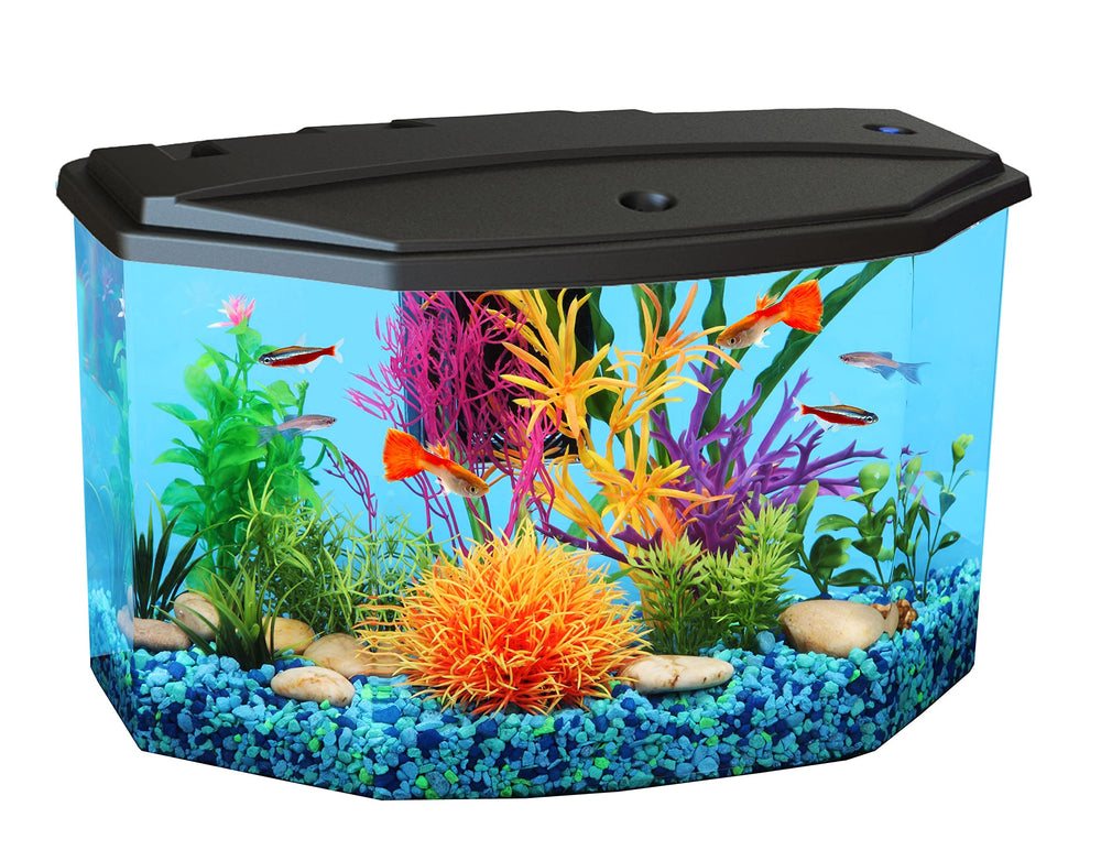 Koller Products aquarium vue face montrant design compact et transparence