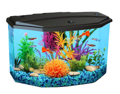 Koller Products aquarium vue face montrant design compact et transparence