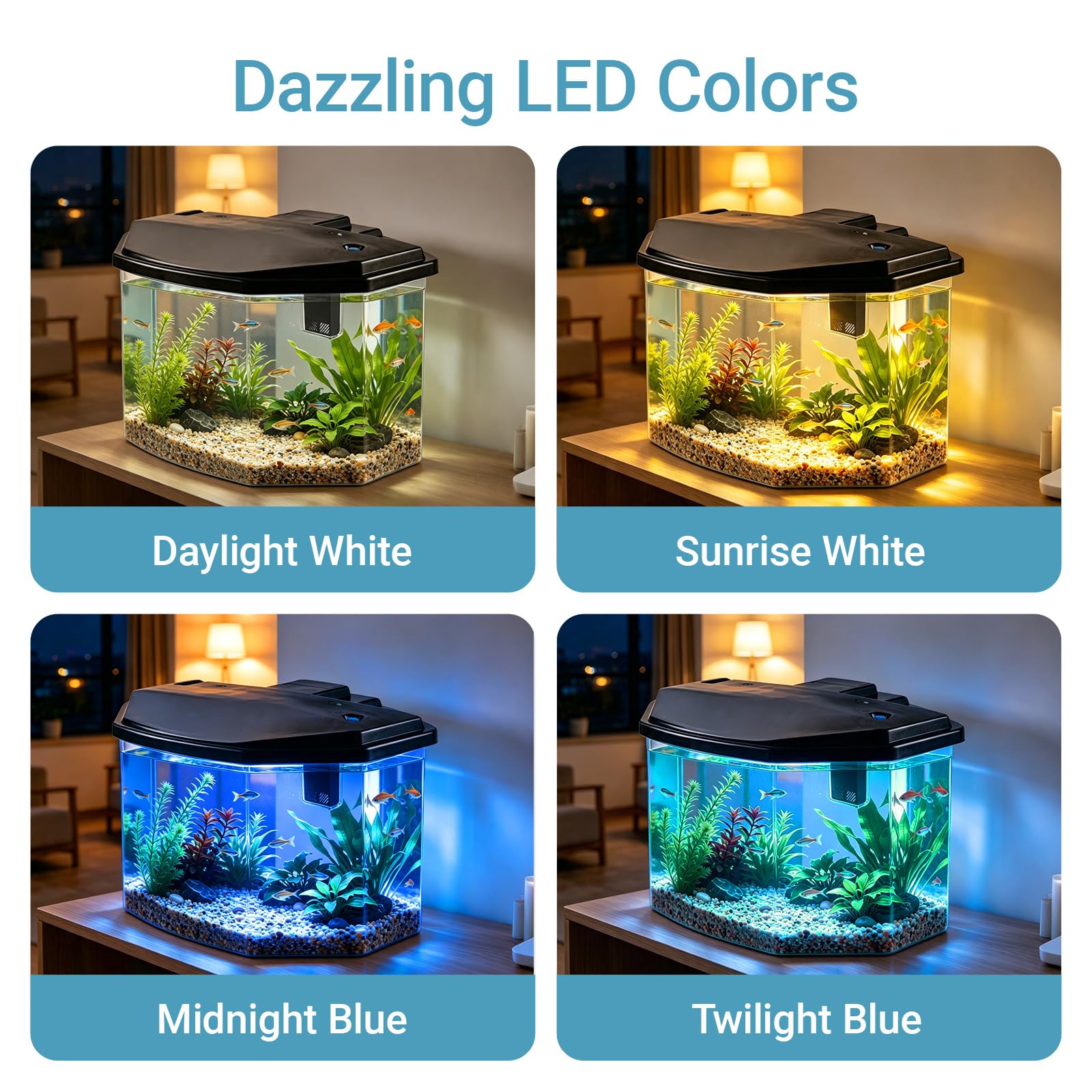 Koller Products aquarium avec règle pour montrer dimensions compactes