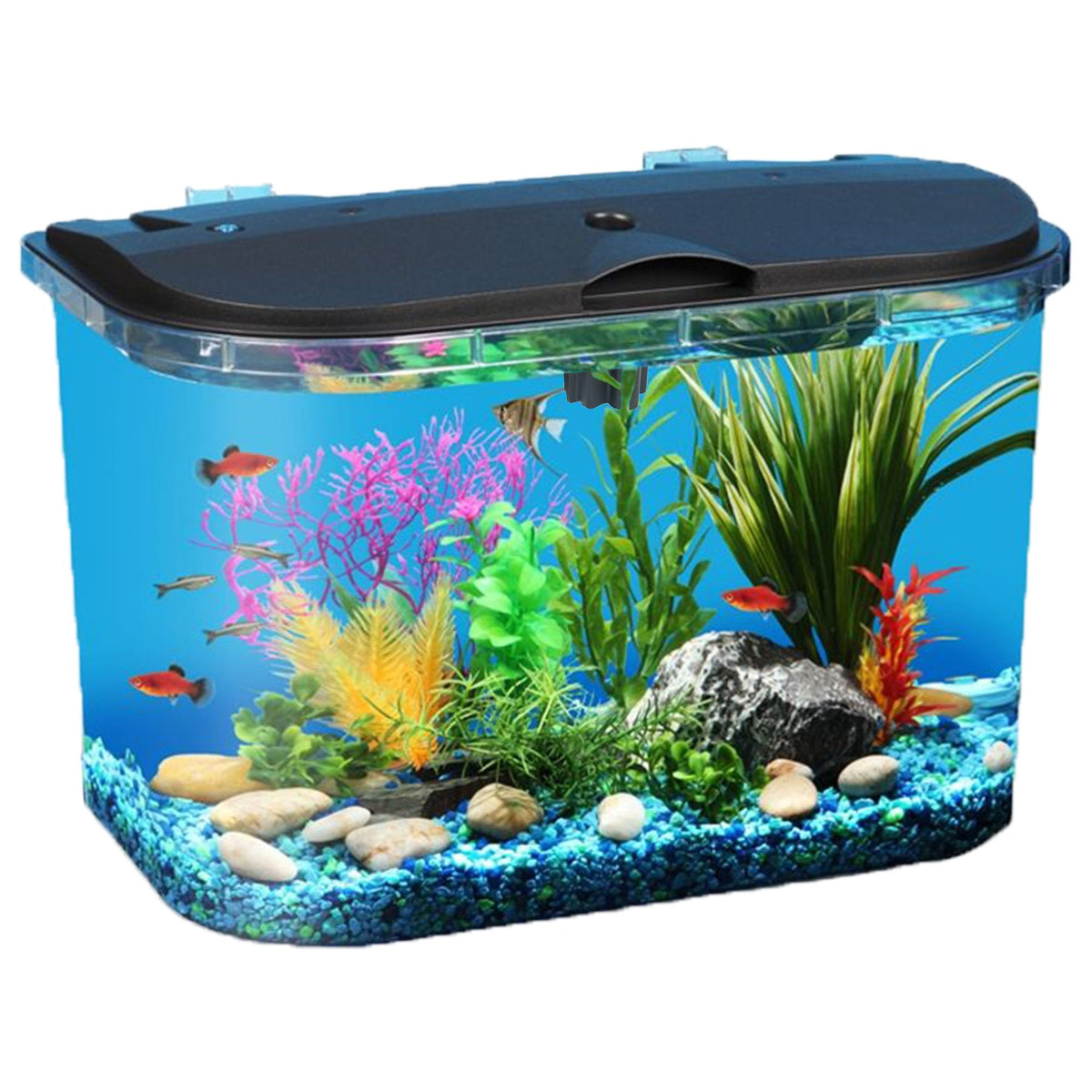 Koller Products vue frontale du kit PanaView, installation facile visible