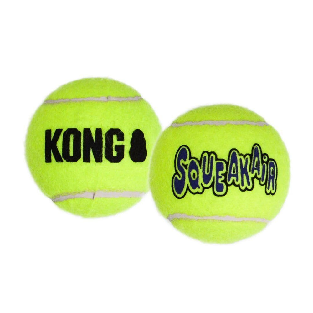 Chien rapportant KONG AirDog Squeaker en parc, stimule l'activité