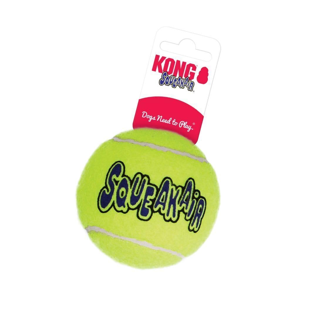 Gros plan feutre KONG AirDog non abrasif protégeant les dents