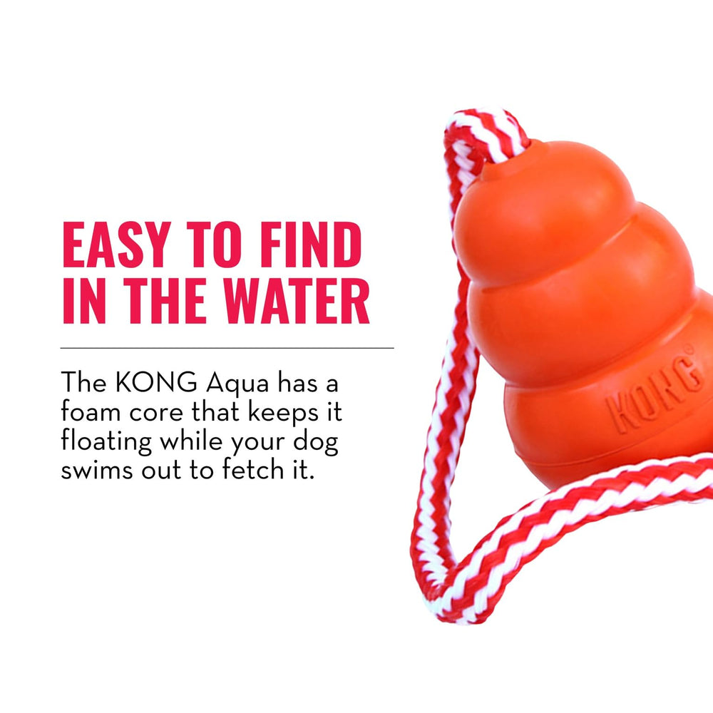 Chien rapportant le KONG Aqua en nature pour exercice et plaisir