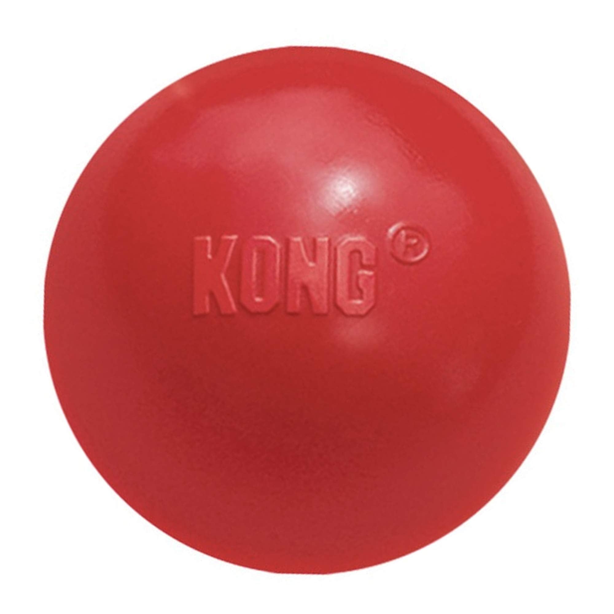 KONG en usage chien illustrant plaisir et exercice lors de sessions de fetch