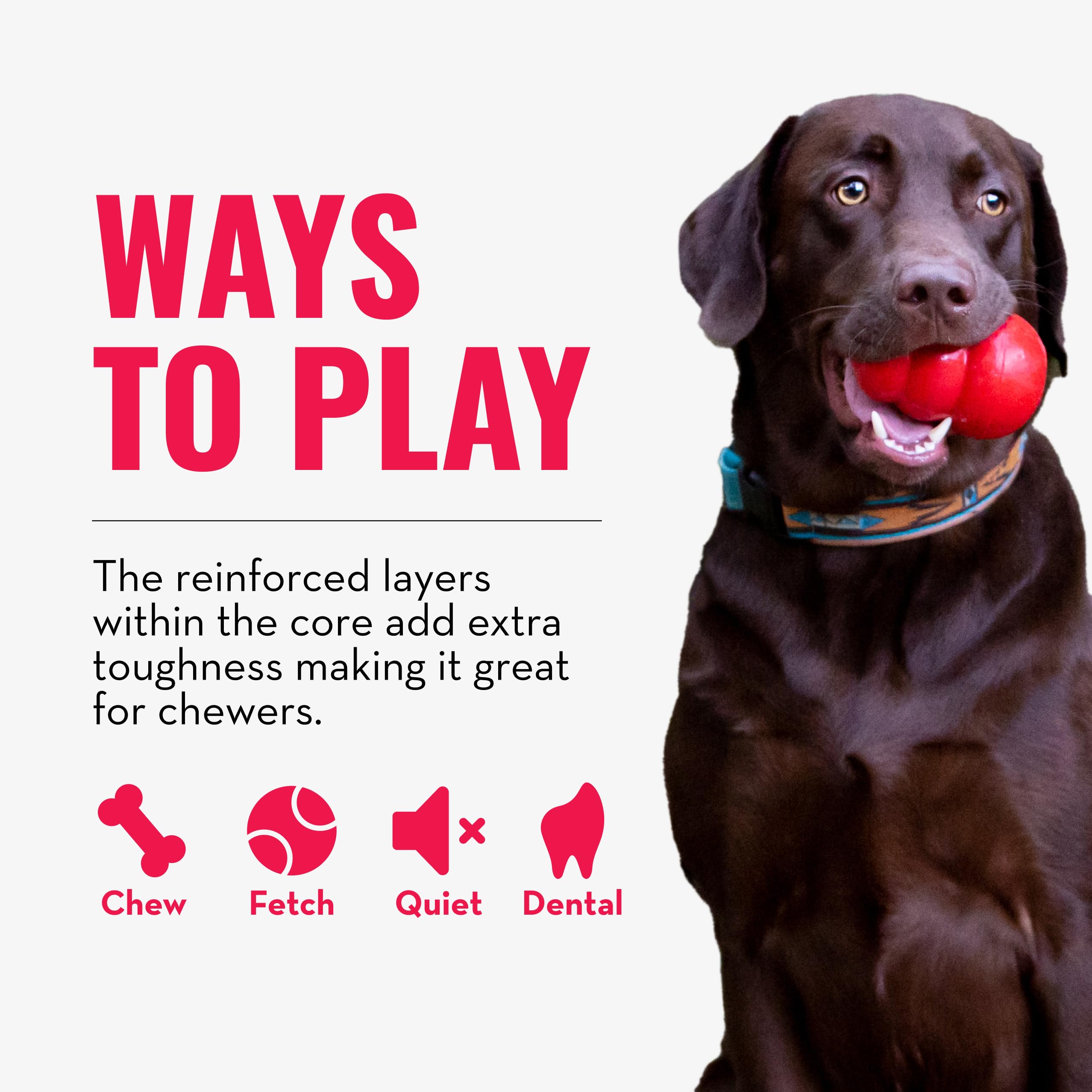 KONG comparaison de taille illustrant choix adapté selon chien
