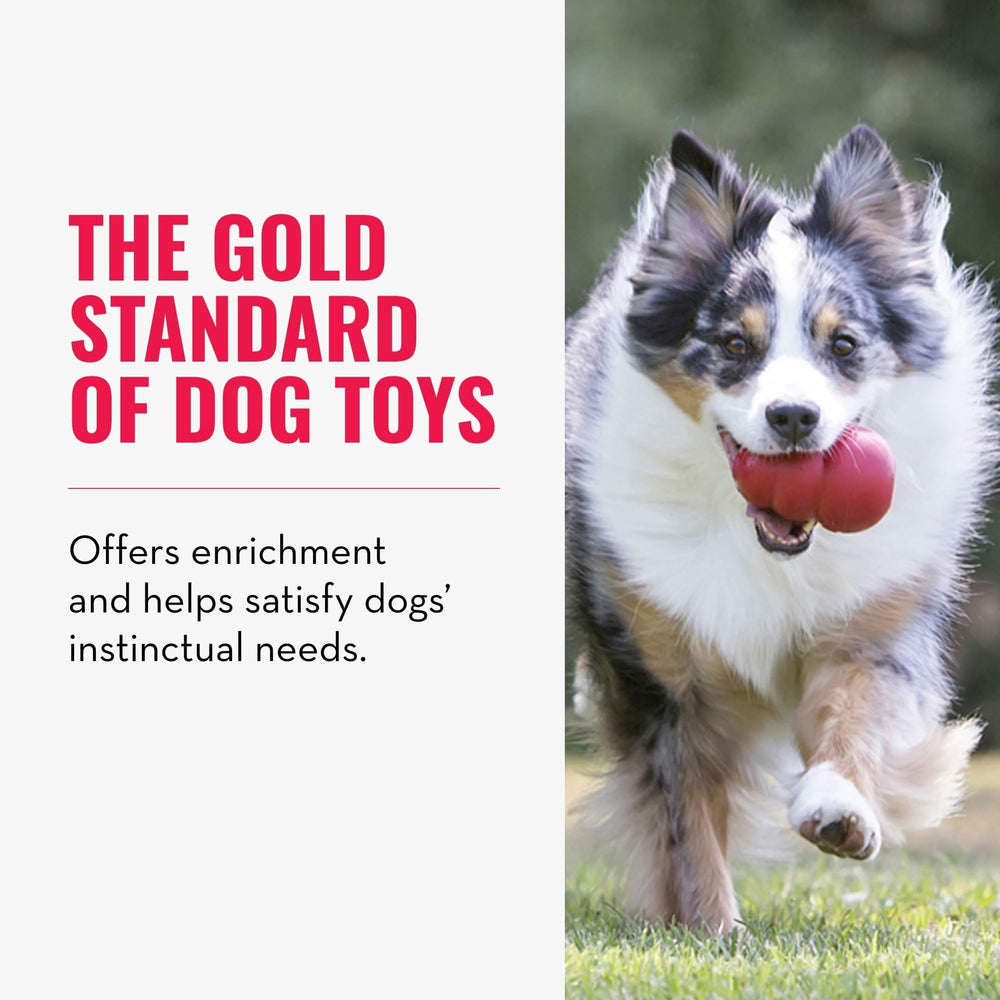 Comparaison taille KONG avec grand chien montrant KONG et adaptation taille