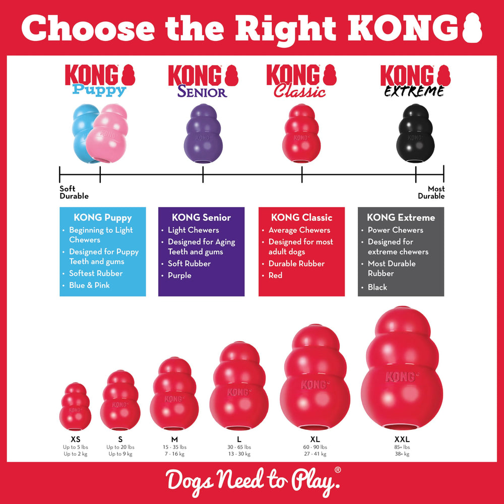 KONG Classic en plein rebond illustrant l'impact ludique imprévisible