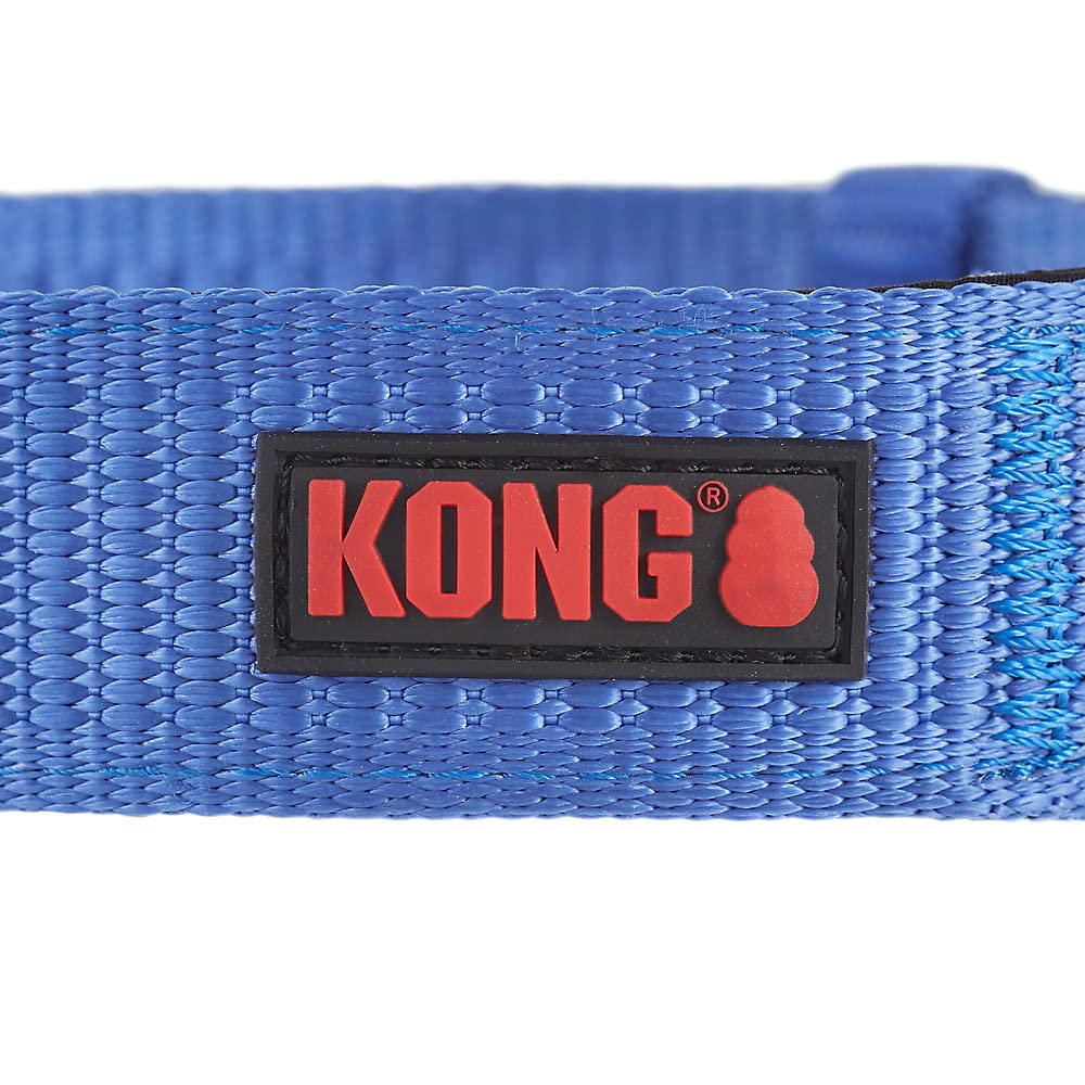 KONG boucle métallique et anneau D montrant robustesse pour attacher laisse