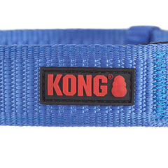KONG boucle métallique et anneau D montrant robustesse pour attacher laisse