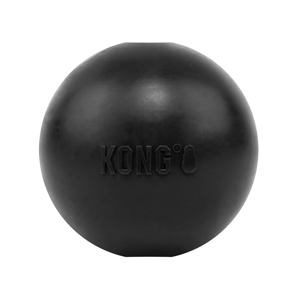 KONG balle avant vue de face montrant forme et robustesse