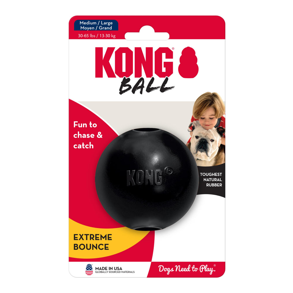 KONG chien moyen jouant avec la balle pour exercice actif