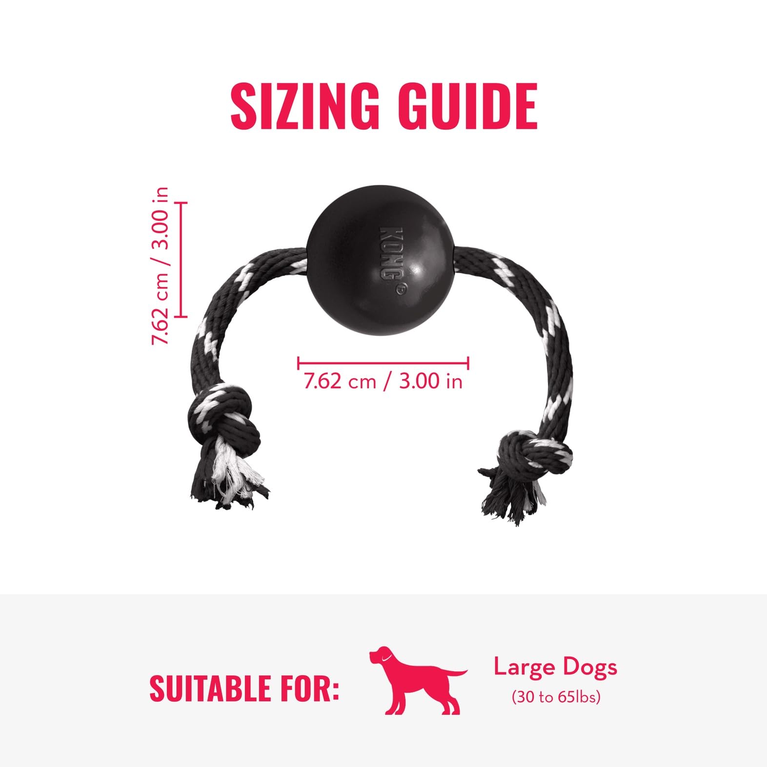 KONG comparaison taille près d’un grand chien pour choix adéquat
