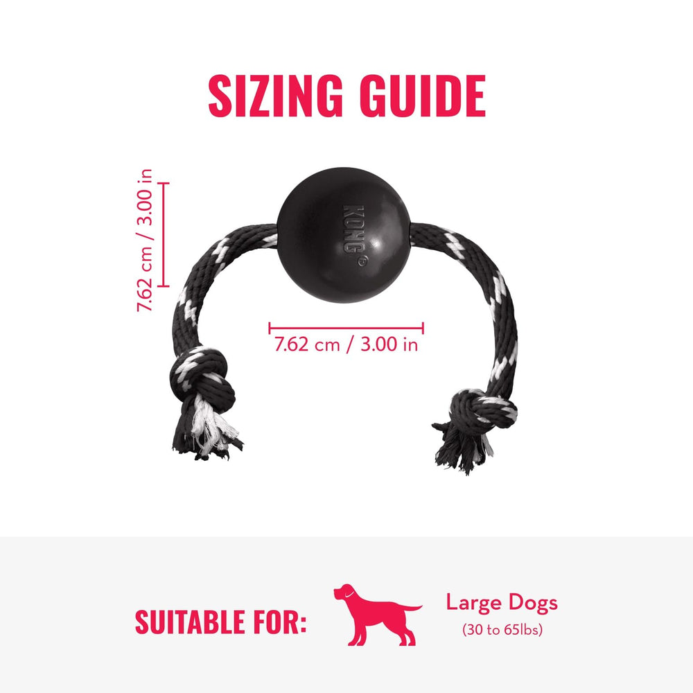 KONG comparaison taille près d’un grand chien pour choix adéquat