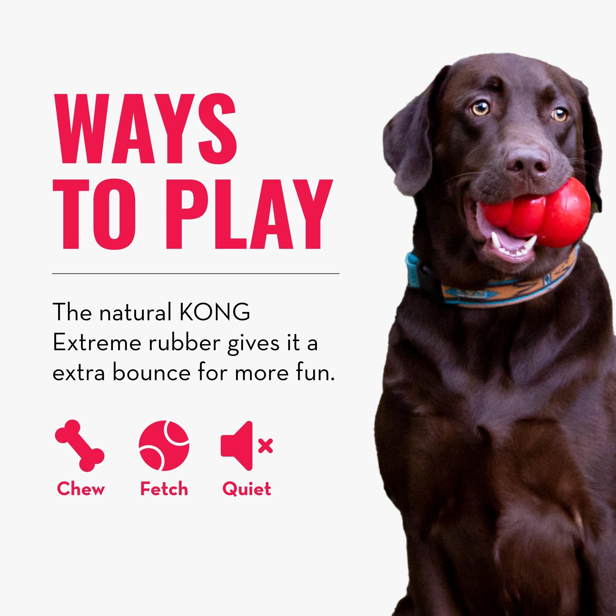 KONG détail caoutchouc Extreme illustrant résistance accrue