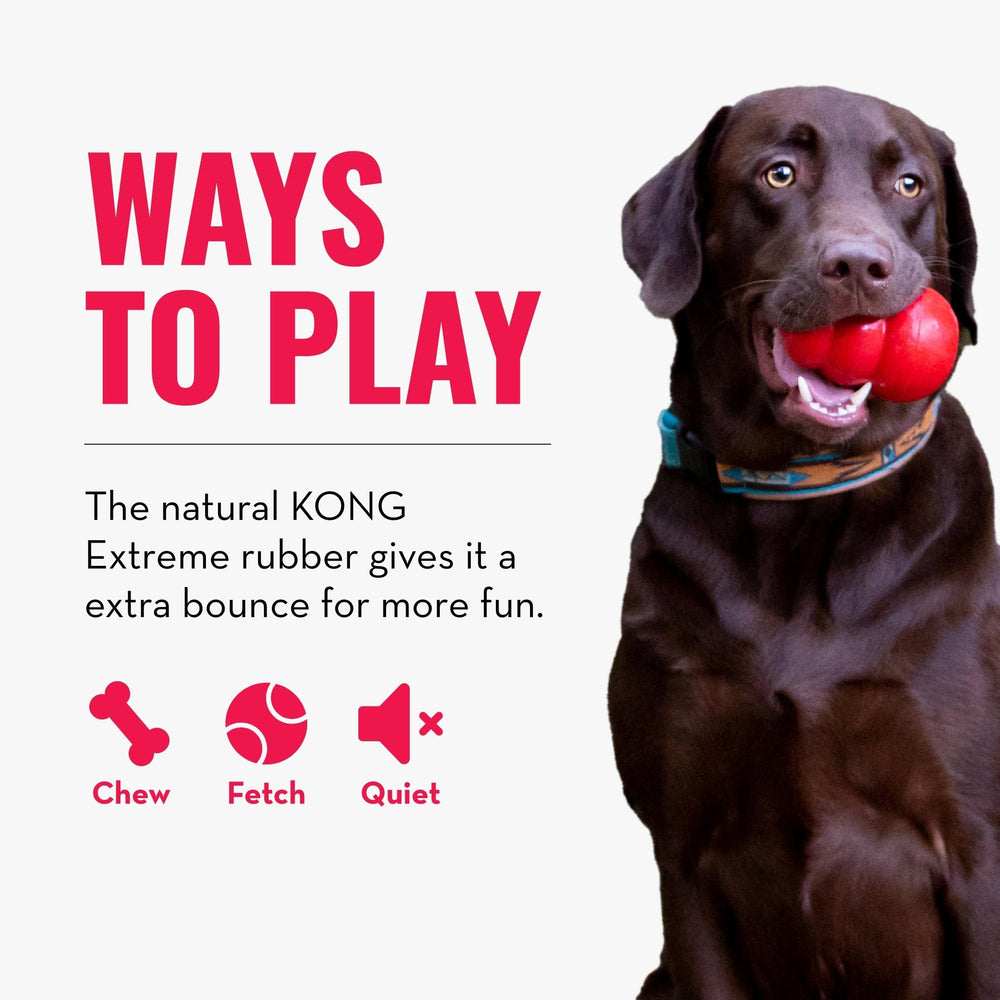 KONG détail caoutchouc Extreme illustrant résistance accrue