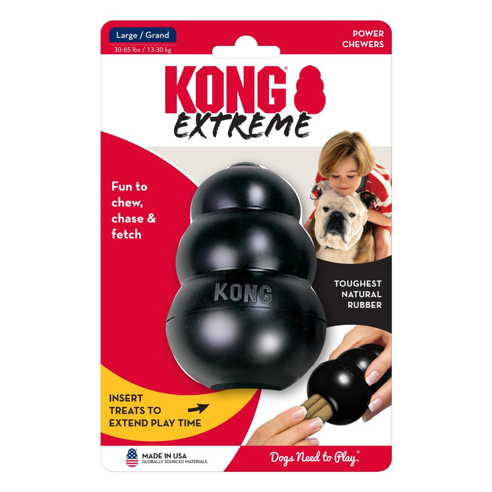 KONG jouet rempli et congelé offre défi prolongé et fraîcheur