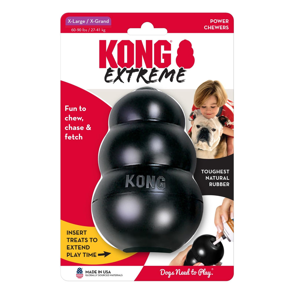KONG avec chien en extérieur illustrant plaisir et exercice sécurisé