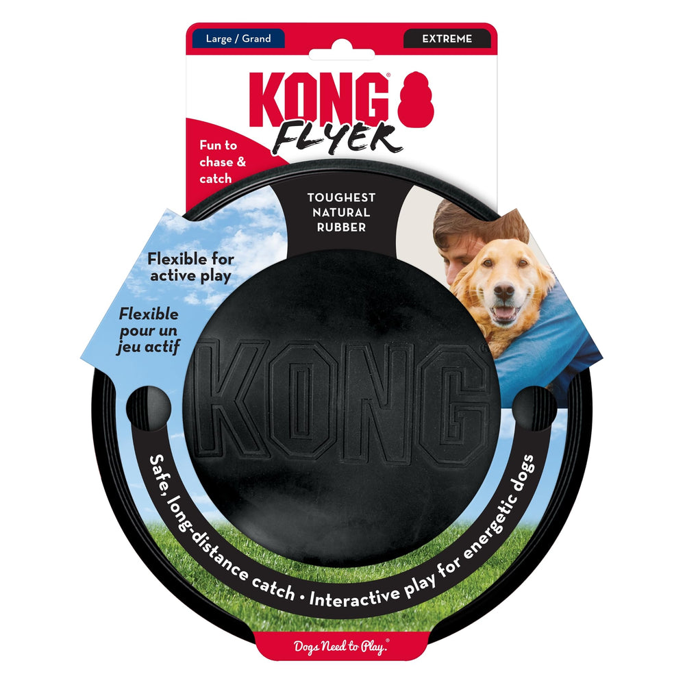 KONG scène famille au parc montrant interaction ludique et lien propriétaire-chien
