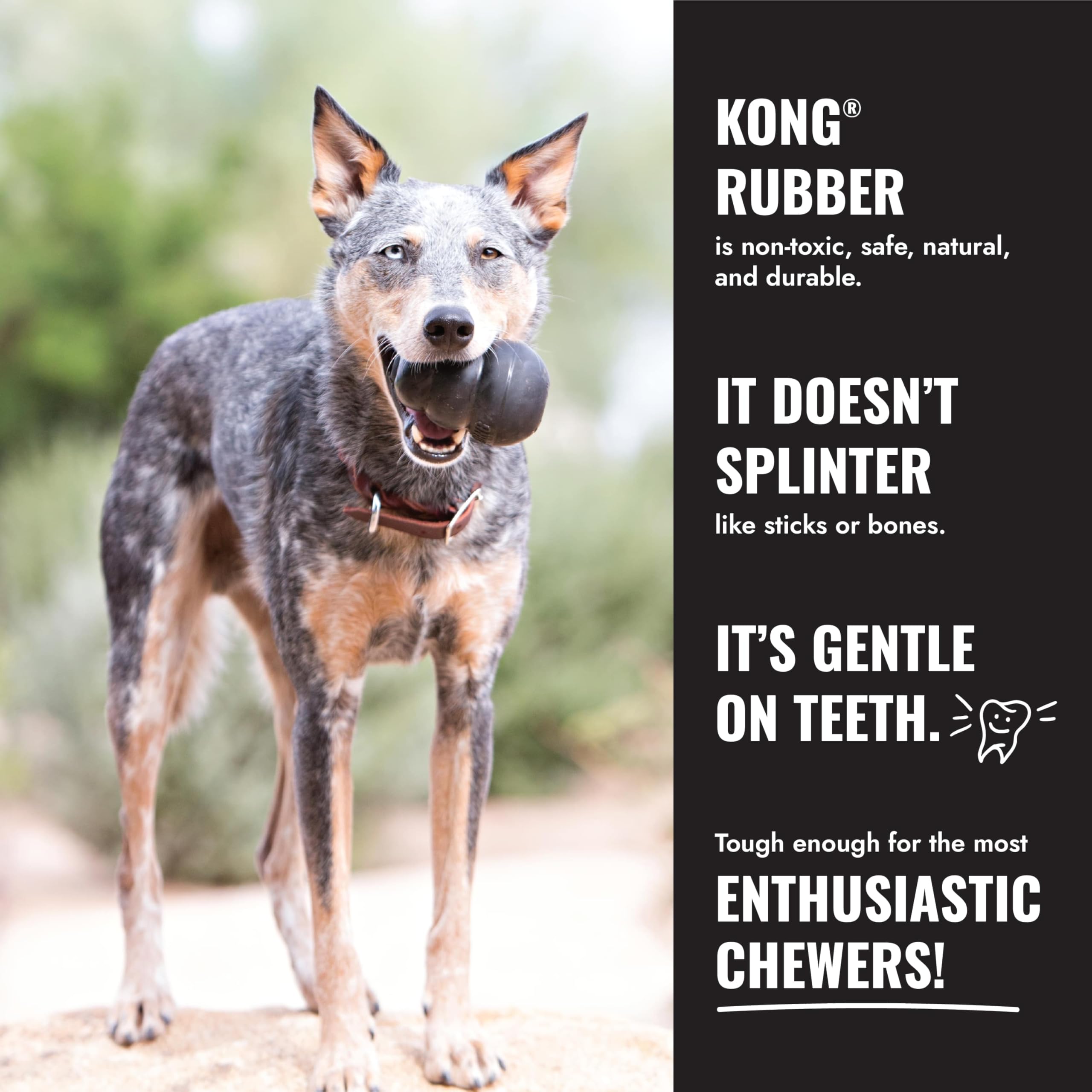 KONG Goodie Bone garni de friandises illustrant stimulation et occupation prolongée