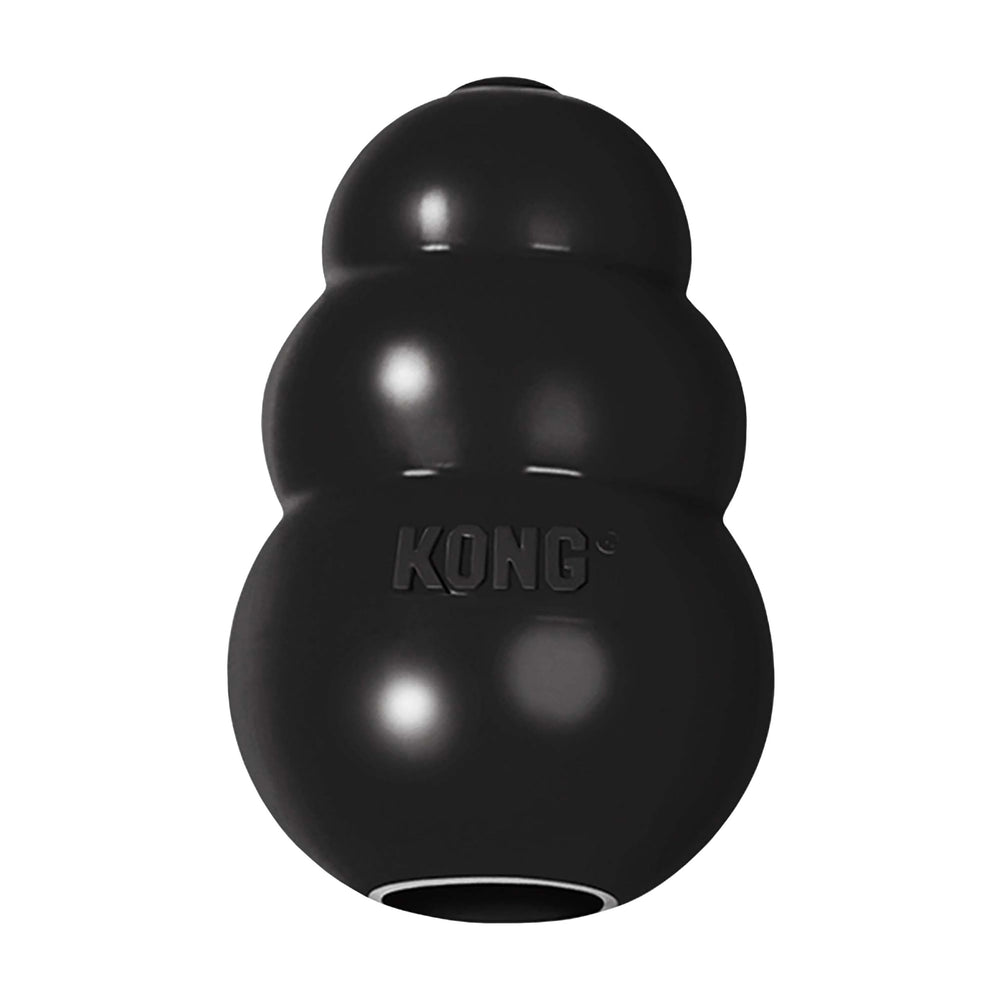 KONG jouet face avant montre robustesse et design pour jeux durables