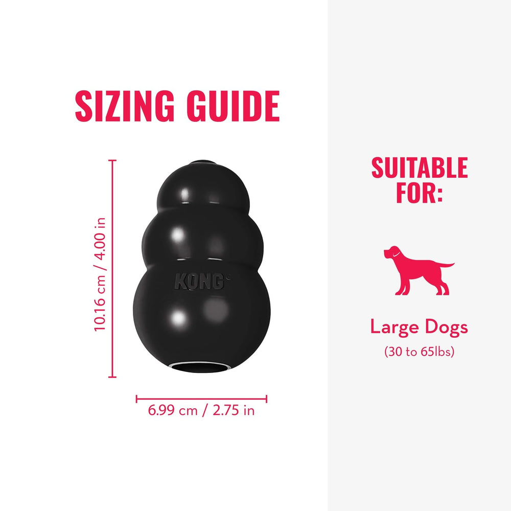 KONG rebond en action stimule le jeu actif et l'engagement du chien