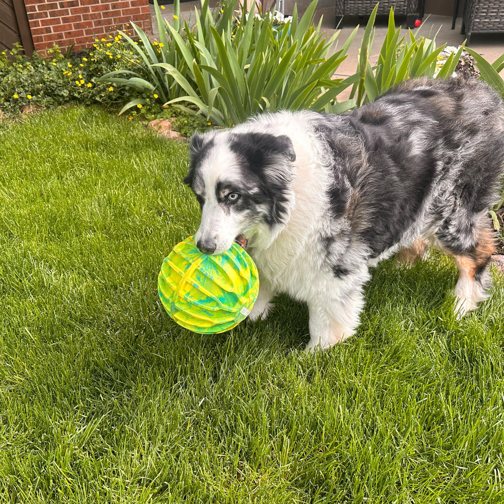 KONG FlexBall détail du sifflet intégré augmentant l’intérêt du chien
