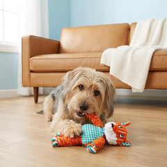 KONG Floppy Knots Fox gros plan sur corde nouée, durable pour traction
