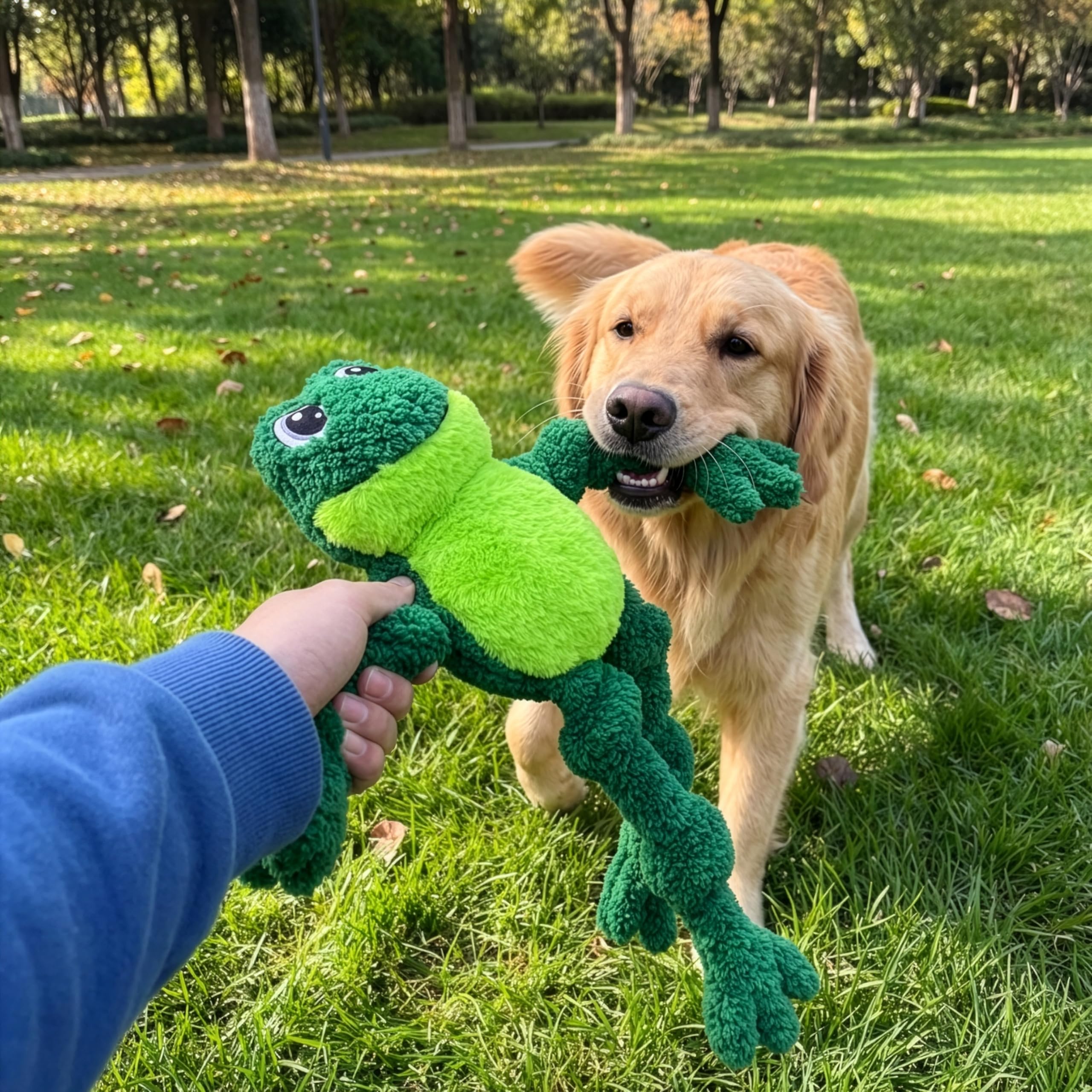 KONG détails du visage brodé et sifflet, attire et engage le chien