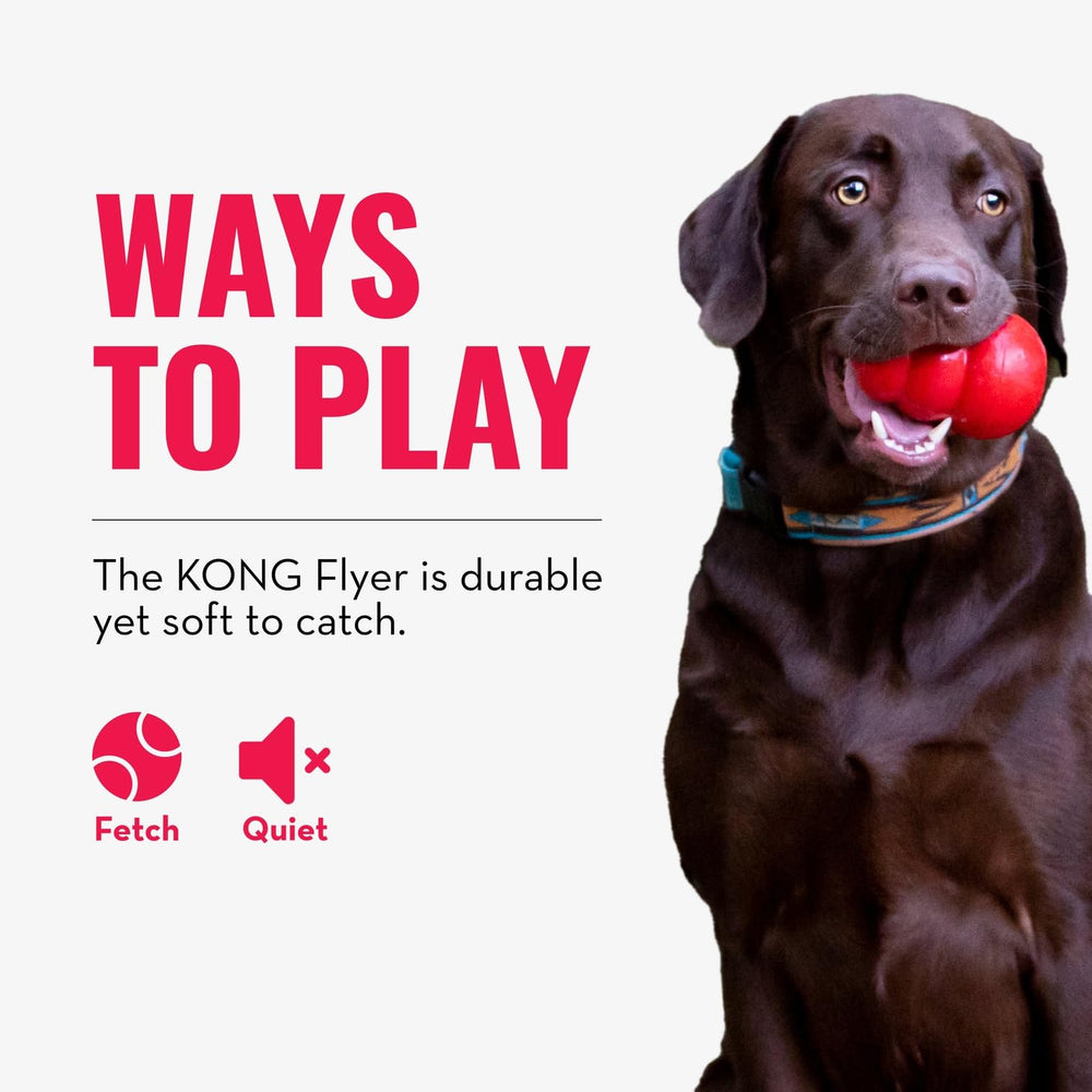 KONG Flyer détail des bords pour prise douce et sans coupure