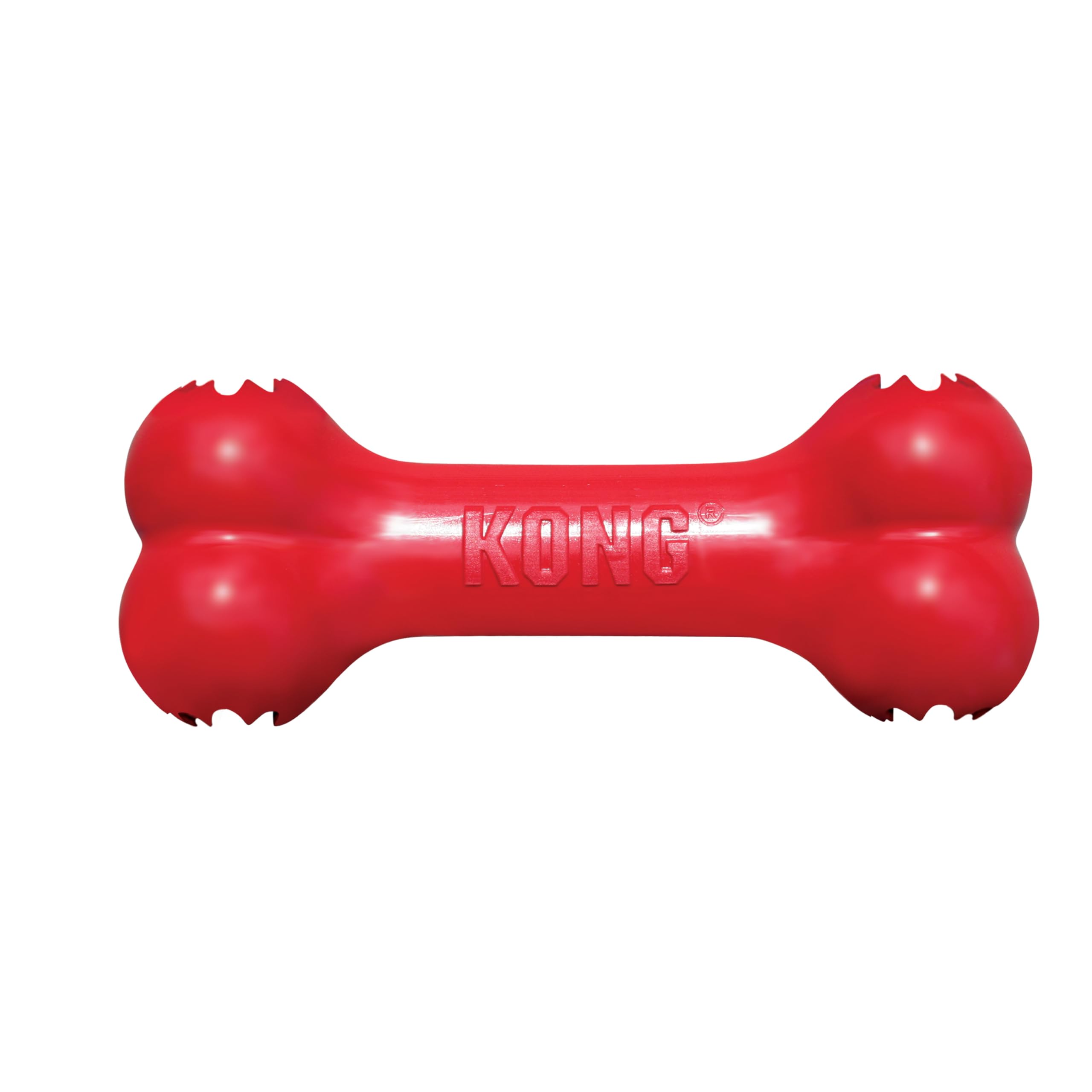 Grand chien KONG en train de jouer avec le Goodie Bone pour stimulation mentale