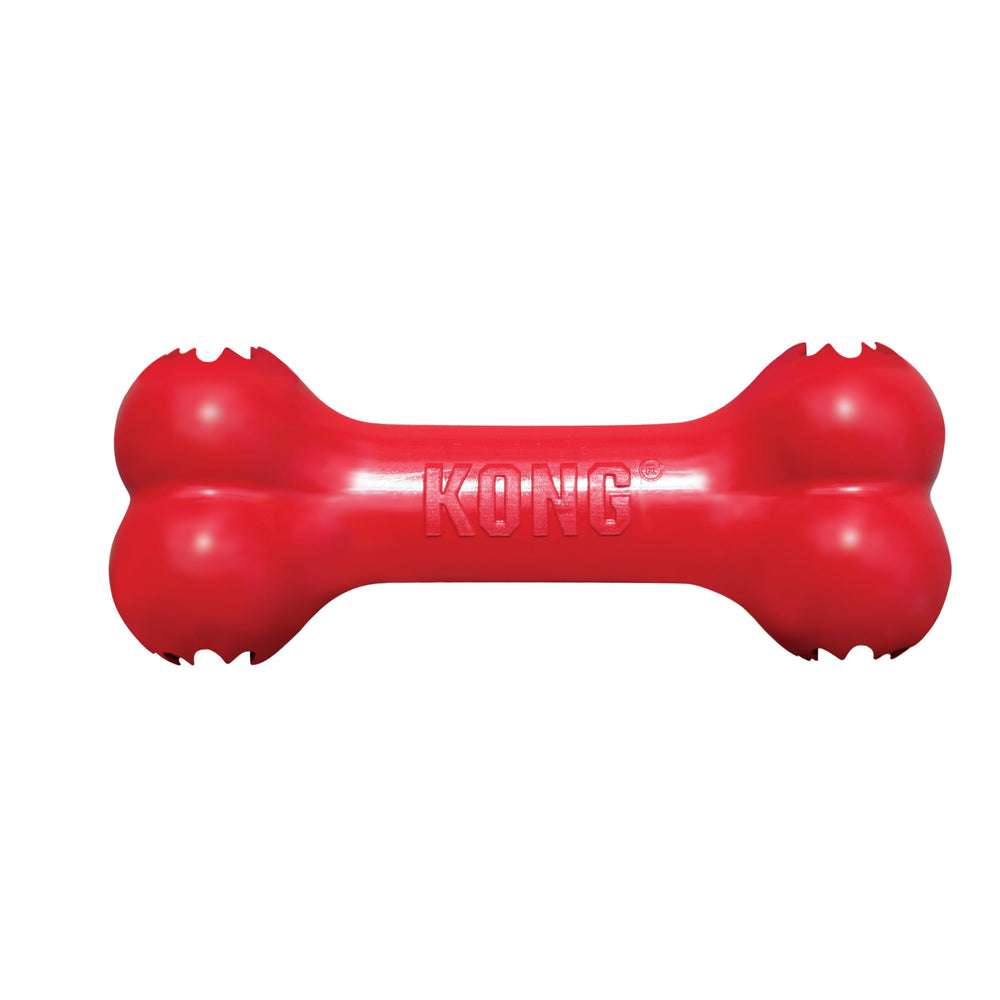 Grand chien KONG en train de jouer avec le Goodie Bone pour stimulation mentale