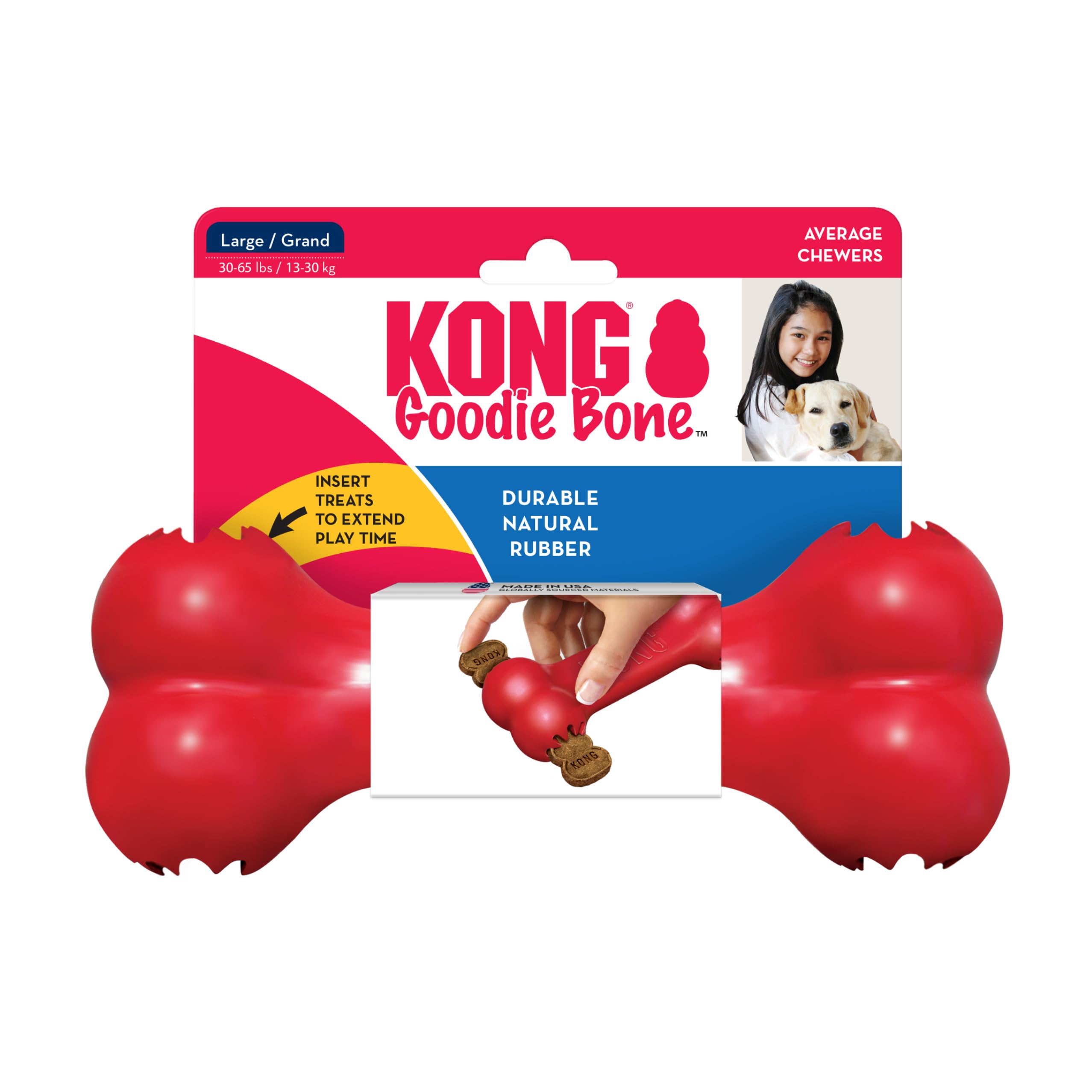 Chiot rapporte KONG Goodie Bone en extérieur prouvant résistance au lancer