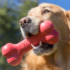 KONG Goodie Bone gros plan de la texture rouge montrant adhérence et intérêt
