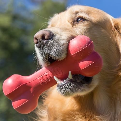 KONG Goodie Bone texture en caoutchouc naturel rouge offrant durabilité et confort