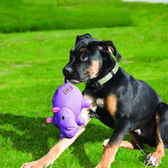 Gros plan texture KONG Phatz Pig stimulant les gencives du chien
