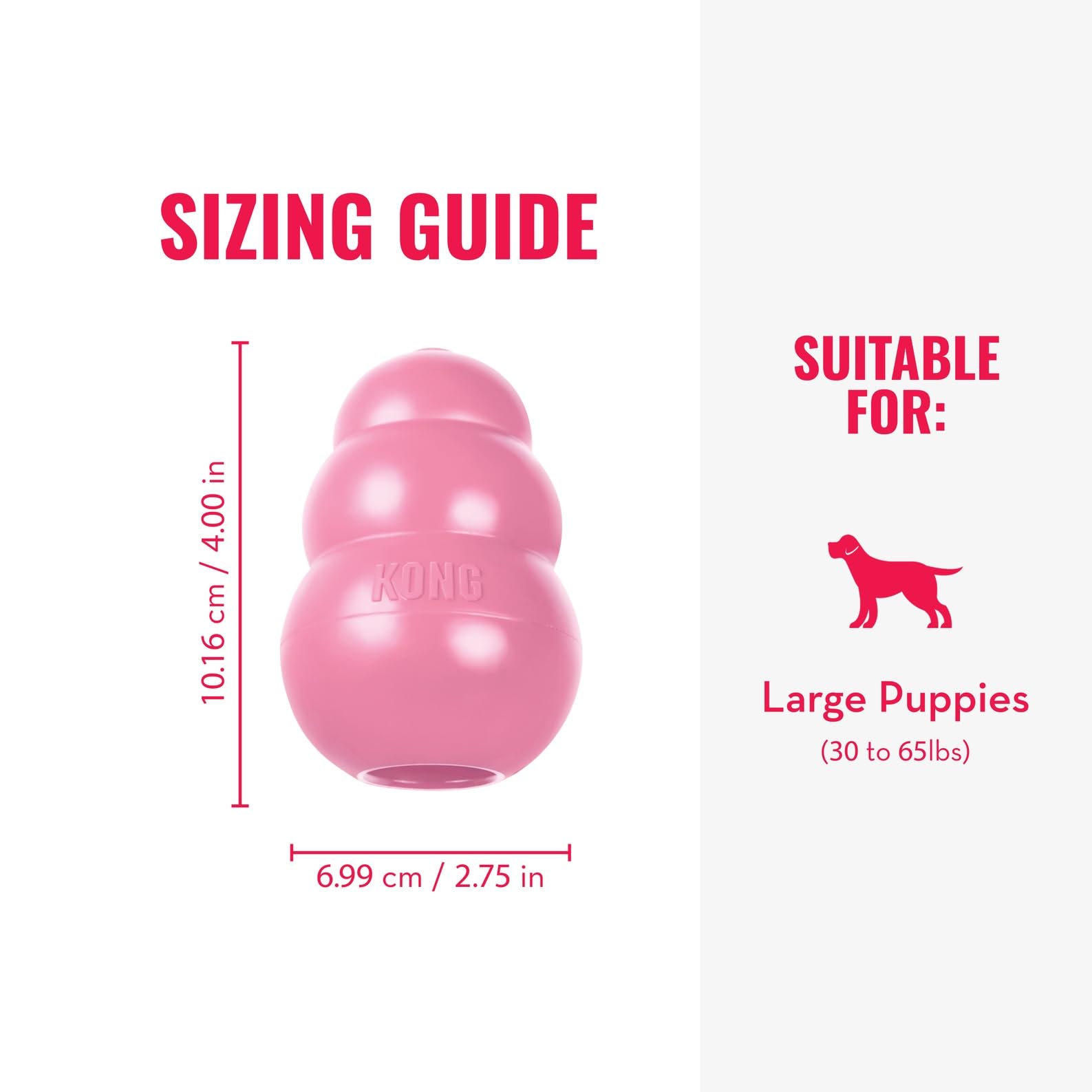 KONG Puppy mastiqué par un chiot montrant stimulation et confort