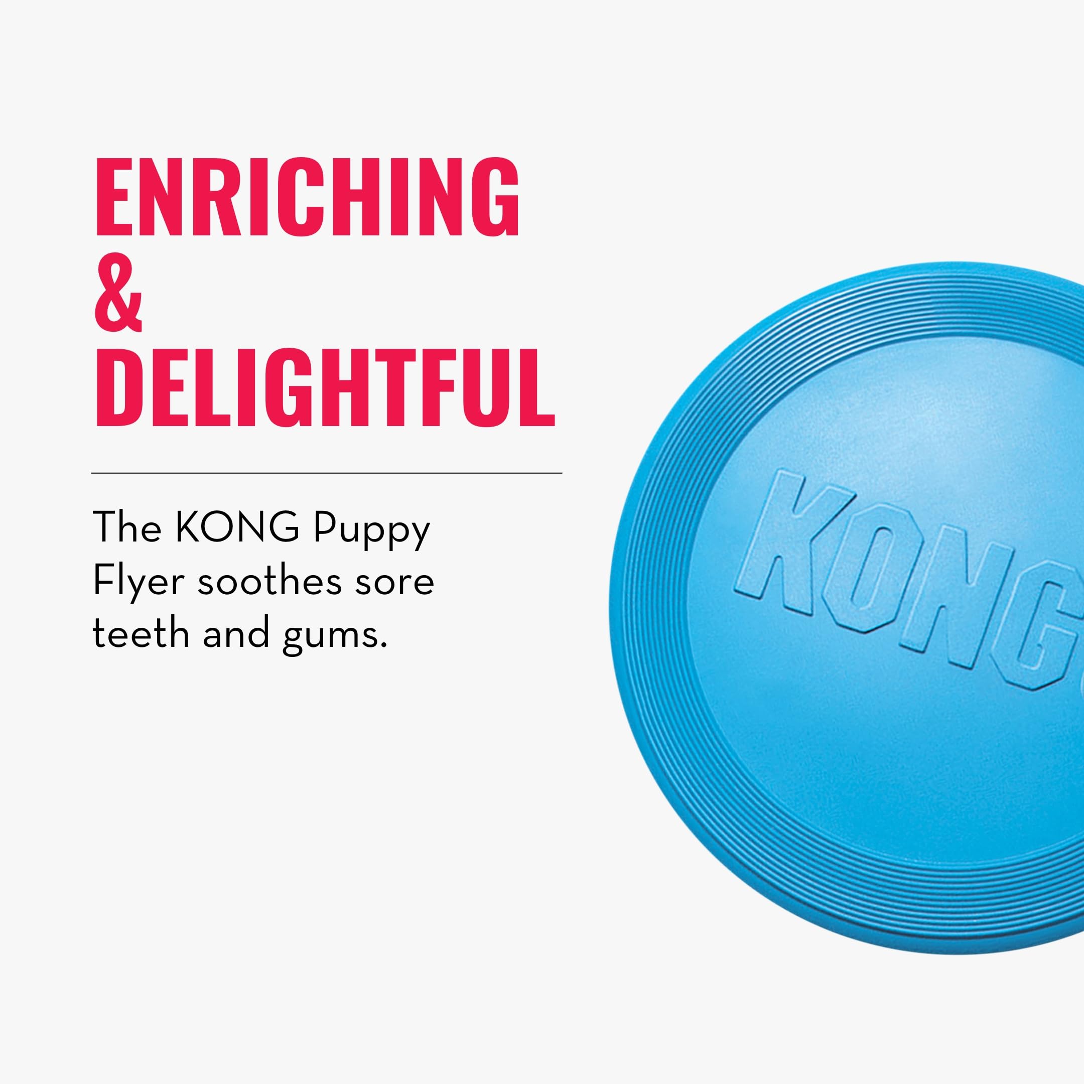 KONG Puppy Flyer à côté d'une main pour comparaison de taille pratique