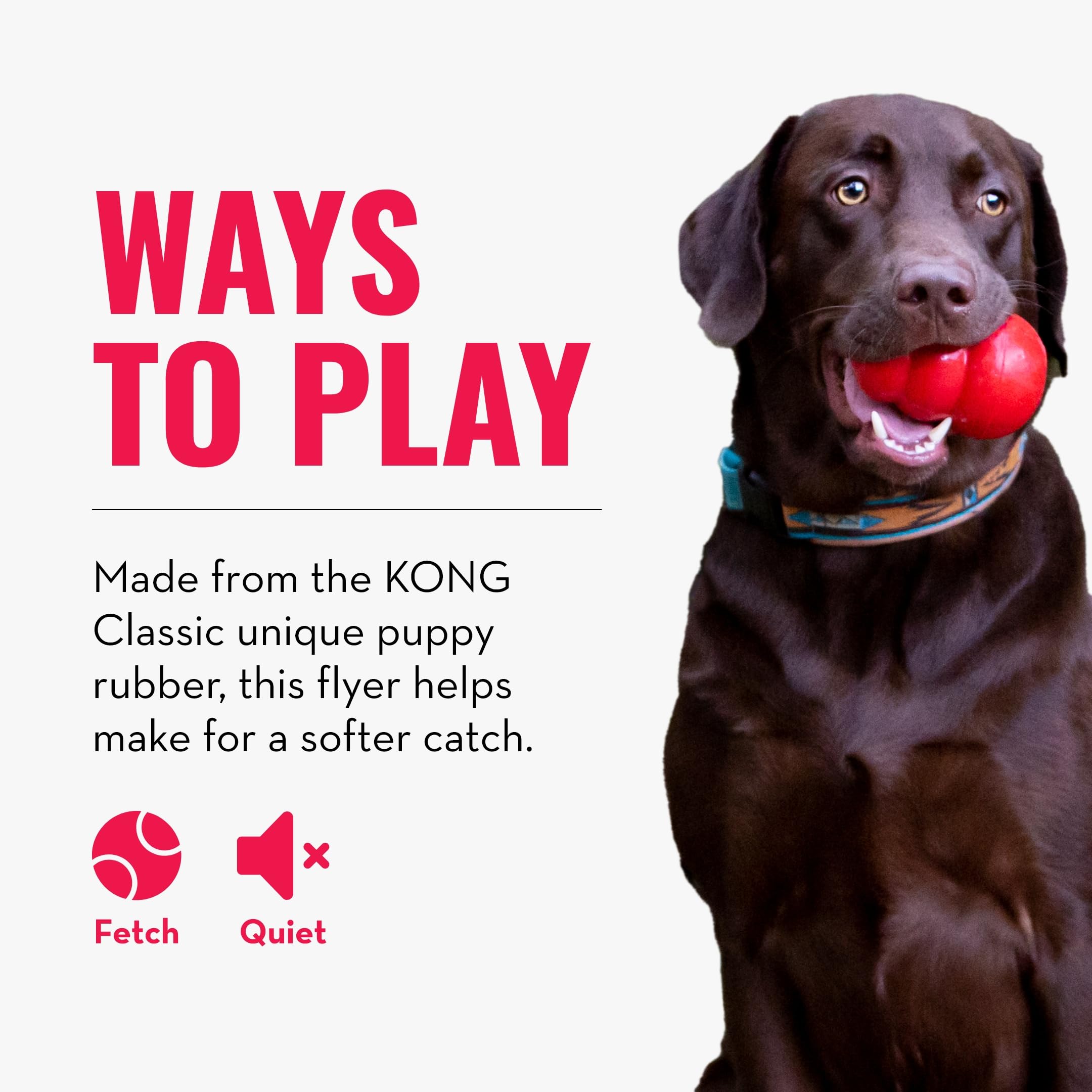 KONG Puppy Flyer comparé à une main, indique taille adaptée aux chiots
