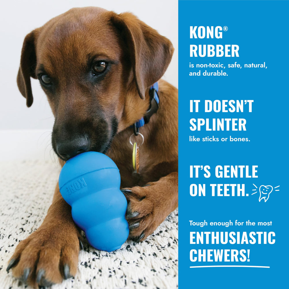 KONG détail des Goodie Grippers pour maintenir la pâte appétente