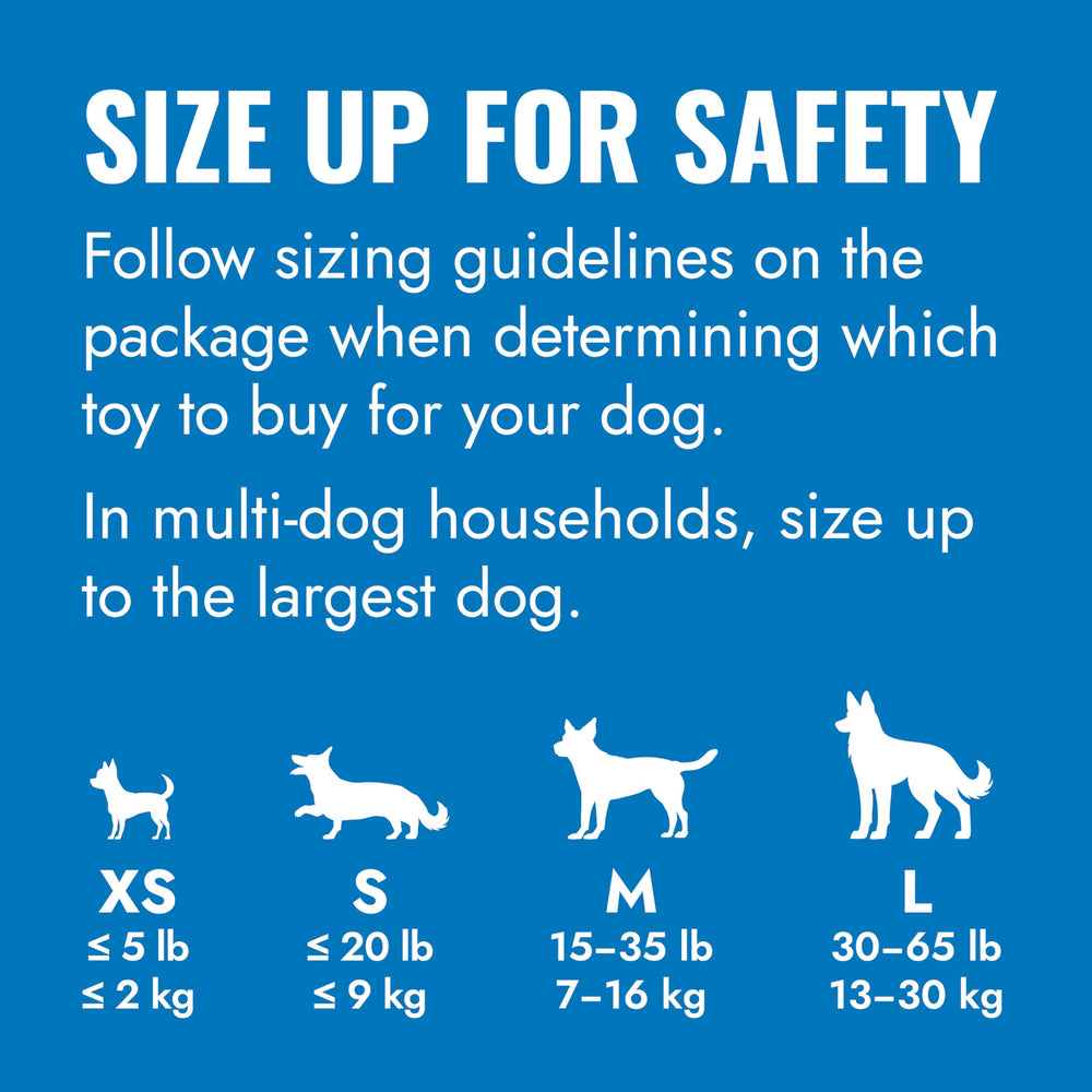 KONG puppy gros plan texture caoutchouc doux pour apaiser gencives