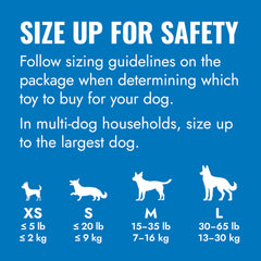 KONG puppy gros plan texture caoutchouc doux pour apaiser gencives