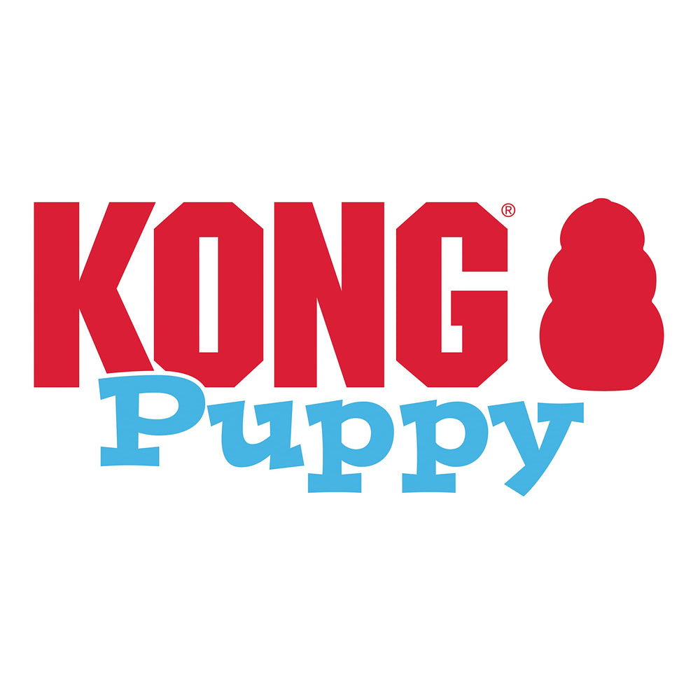 KONG puppy en situation intérieure montrant intégration décorative