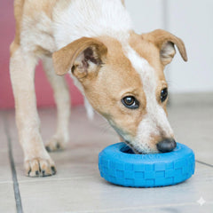 KONG Puppy Tires intérieur creux mettant en valeur l'aire pour friandises