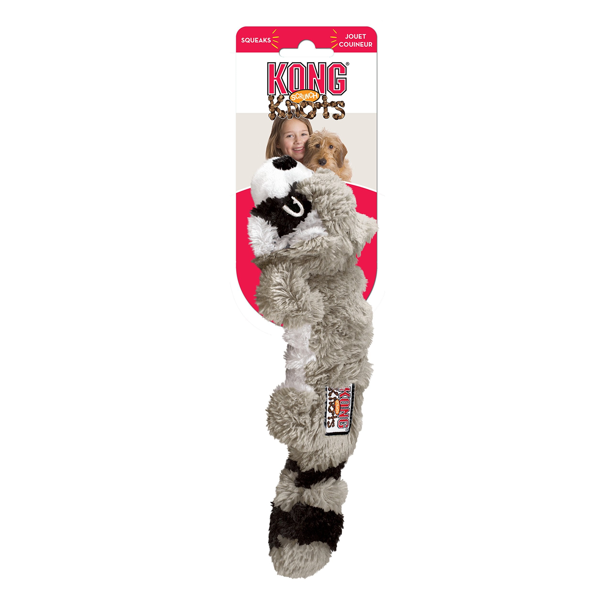 KONG Raccoon en jeu avec chien illustrant interaction active et stimulation