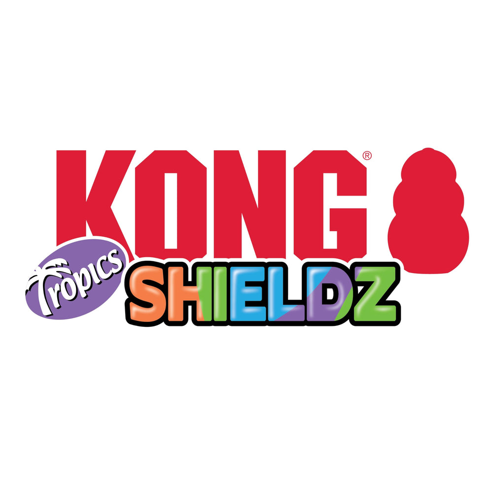 KONG comparaison taille avec main montrant format medium adapté aux chiens